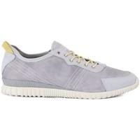 napapijri karoo n82 mens shoes trainers in multicolour