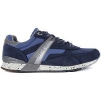 napapijri rabari blue mens shoes trainers in multicolour