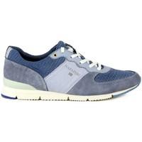 napapijri harit womens shoes trainers in blue