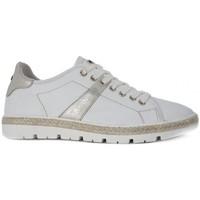 napapijri lykke white womens shoes trainers in multicolour