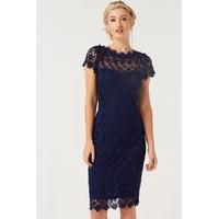 navy crochet dress