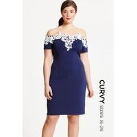 Navy and Cream Applique Dress