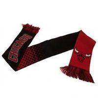 Nba Chicago Bulls Fade Scarf