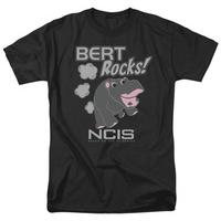 NCIS - Bert Rocks