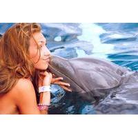 Negril Dolphin Encounter