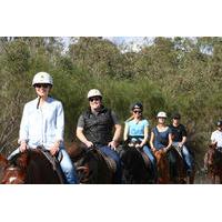 Neergabby Horse Riding River Adventure