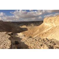 negev desert private day tour from tel aviv beersheba sde boker and mi ...