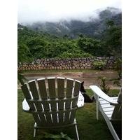 Neita\'s Nest Jamaican Bed & Bre...