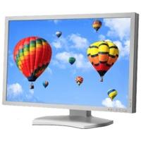 NEC MultiSync PA302W