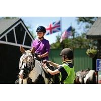 New Forest Horse Riding experience for Two