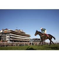 Newbury Racecourse Racegoers Res...