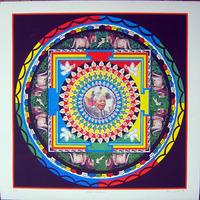 Nelson Mandala By Brian Jones