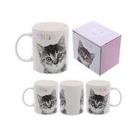 new bone china mug kitten meow