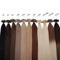 Neitsi 20 Inch 1g/s 100g Ombre Keratin Fusion Nail U Tip Straight 100% Human Hair Extensions