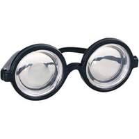 Nerd Geek Specs School Disco Glasses