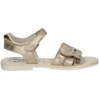 nero giardini p732370f sandals kid platino boyss childrens sandals in  ...