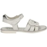 nero giardini p732370f sandals kid bianco boyss childrens sandals in w ...