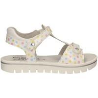 nero giardini p732282f sandals kid bianco boyss childrens sandals in w ...