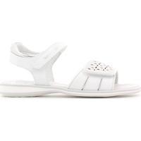 nero giardini p628580f sandals kid bianco girlss childrens sandals in  ...