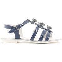 nero giardini p631370f sandals kid avio girlss childrens sandals in gr ...