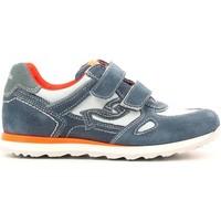 Nero Giardini P629801M Sneakers Kid Avio boys\'s Children\'s Shoes (Trainers) in grey