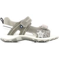 nero giardini p433240m sandals kid boyss childrens sandals in grey