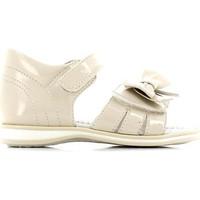 nero giardini p420441f sandals kid boyss childrens sandals in beige