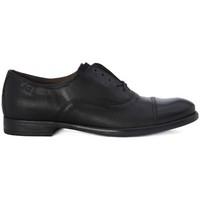 Nero Giardini Sagar Deco Nero men\'s Casual Shoes in Black