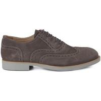 Nero Giardini Colorado men\'s Smart / Formal Shoes in Brown