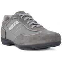 nero giardini colorado fumo mens shoes trainers in grey