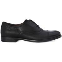 Nero Giardini Anguilla Biblo men\'s Shoes (Trainers) in Black