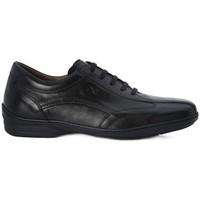 nero giardini vitello bt nero mens shoes trainers in black