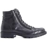 nero giardini musk antracite mens shoes high top trainers in black