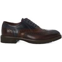 Nero Giardini Buttero Porcino men\'s Smart / Formal Shoes in Brown