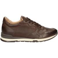 Nero Giardini P704800U Shoes with laces Man Brown men\'s Shoes (Trainers) in brown