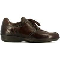 Nero Giardini A503601U Classic shoes Man men\'s Walking Boots in brown