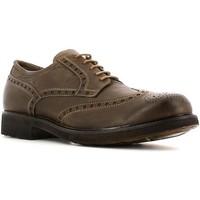 nero giardini a503680u lace up heels man mens casual shoes in brown