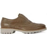 nero giardini dream tortora womens casual shoes in brown