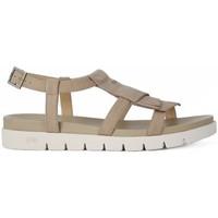 nero giardini sandalo nepal womens sandals in multicolour