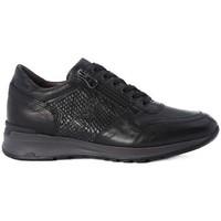 Nero Giardini Old Iron Nero women\'s Shoes (Trainers) in Black