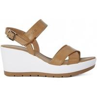 nero giardini sandalo leon womens sandals in multicolour