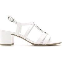 Nero Giardini P615540D High heeled sandals Women women\'s Sandals in white