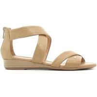 nero giardini p615560d sandals women nd womens sandals in other