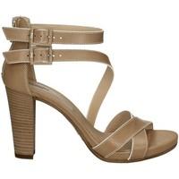 nero giardini p717580d high heeled sandals women brown womens sandals  ...