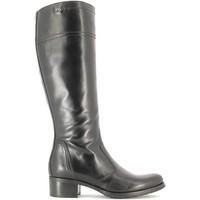 nero giardini a616450d boots women black womens high boots in black