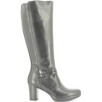nero giardini a616412d boots women womens high boots in black