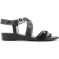 nero giardini p615561d sandals women black womens sandals in black