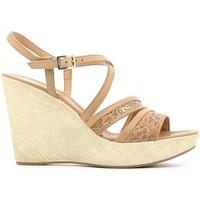 nero giardini p615581d wedge sandals women womens sandals in other