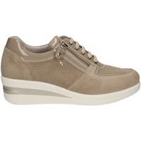 nero giardini p717951d shoes with laces women taupe womens walking boo ...