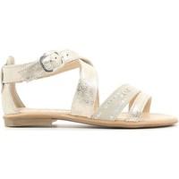 nero giardini p631320f sandals kid platin womens sandals in grey